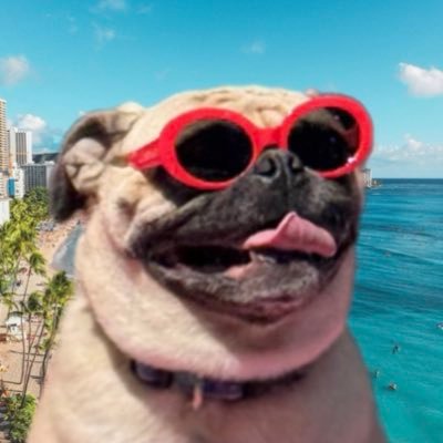 7PugMan7's profile picture. Welcome to Team ShinyLuck! ✨ | Seeing the world one regional Pokémon at a time! 🌎