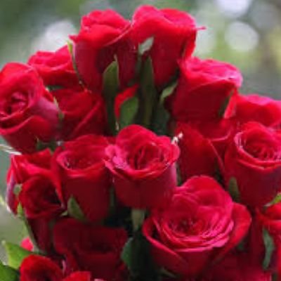 Caitlin_N_Rose's profile picture. Give a man a fish and you feed him for a day. Don't teach a man to fish, and you feed yourself. He's a grown man; fishing's not that hard. -Ron Swanson