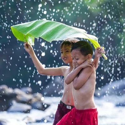 Rena03109255's profile picture. 