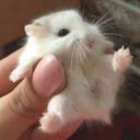 Wayne Parker (Rosé) - @RoseWayne63311 - Twitter