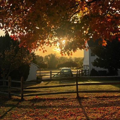 ninjathe1fun's profile picture. 