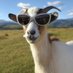 Ted Cabro 🐐 (@tedcabro) Twitter profile photo Ted Cabro 🐐 (@tedcabro) Twitter profile photo