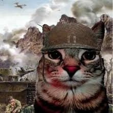 mg687820's profile picture. 