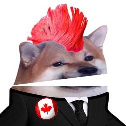 TreacherousArr's profile picture. Actor, restaurateur, entrepreneur, punk rocker. Russophobic MAGAphobic. No commies no nazis. Pronouns: Dog/Doggo. Chicago/Langley. 🇨🇦🇲🇽🇺🇦🇬🇪🇪🇺🇬🇱🇵🇦