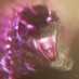Mr. Goji (@goji_dargon) Twitter profile photo Mr. Goji (@goji_dargon) Twitter profile photo