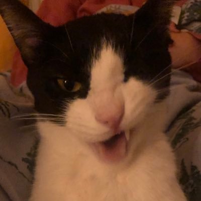 atakligorkem's profile picture. 