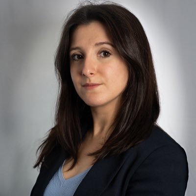 ATER en droit public à l'Université Paris-Est Créteil. Membre de la Commission de la jeune recherche constitutionnelle.