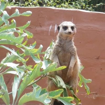 dlcvasquez1's profile picture. 