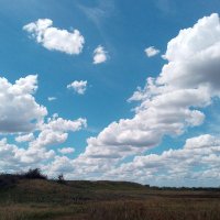 Luzneida Andrew (@andrewluzneida) 's Twitter Profile