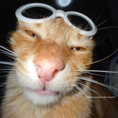 KomarzPols85746's profile picture. 