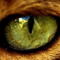 ELLLYBV (@elllybv56688) 's Twitter Profile