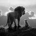 Levent Suaydın (@leventsuaydin) Twitter profile photo Levent Suaydın (@leventsuaydin) Twitter profile photo