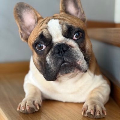 jggarcia1's profile picture. 