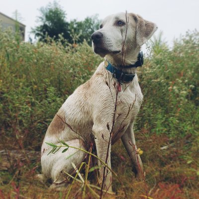 McBoogles's profile picture. "For by grace you have been saved through faith, and that not of yourselves; it is the gift of God, not of works, lest anyone should boast." Ephesians 2:8-9