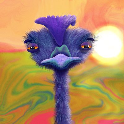 kiskisgav's profile picture. artist & photographer