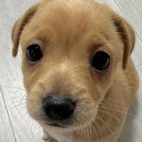 β (@fishgom04) 's Twitter Profile Photo β (@fishgom04) 's Twitter Profile Photo