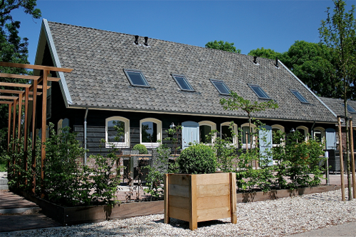 codeservice20's profile picture. 