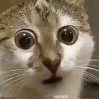 Tiemoz (@tiemoz_r6) 's Twitter Profile