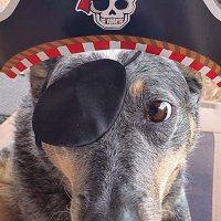 Country Roads (@roads67054) 's Twitter Profile
