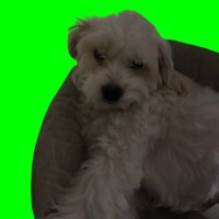 spintardio (@spintardio) 's Twitter Profile Photo spintardio (@spintardio) 's Twitter Profile Photo