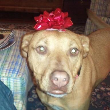 Travis Leager Profile