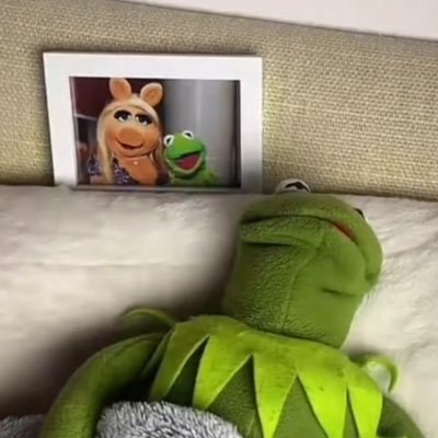 bmblebeeluv's profile picture. multistan / free 🇵🇸.