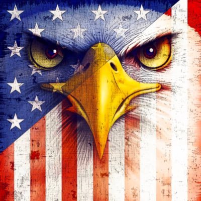 Freedom loving American. Together let’s save our country. I love the U.S.A!