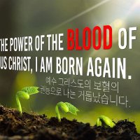 주 바라기 (@soonhyang310) 's Twitter Profile Photo