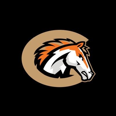Official account of the Canberra Cavalry ⚾️ | Playing in the Australian Baseball League 🏆 | #RideWithUs #SaddleUp