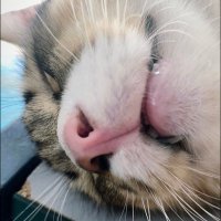 ( ͡° ͜ʖ ͡ – ✧) (@iloveyejun_) 's Twitter Profile Photo ( ͡° ͜ʖ ͡ – ✧) (@iloveyejun_) 's Twitter Profile Photo
