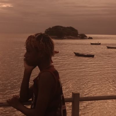 dvzinho_da_nv's profile picture. 