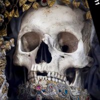 SIN “DOS” DIENTES (@siindiientes) 's Twitter Profile Photo