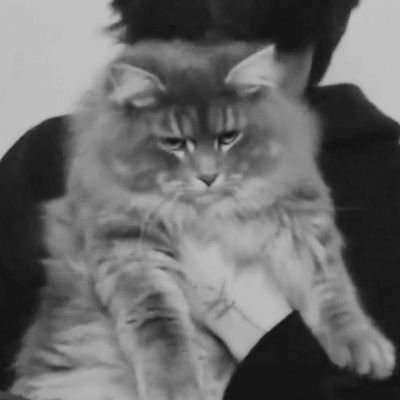 xlittlemooneaJ's profile picture. For my LA star, @eaJPark ☆ 

Backup acc for @littlemooneaJ