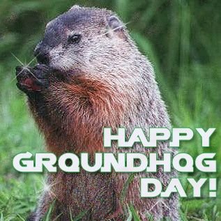 Fleet operations for 31 years, keeping the cars running for our officers.. GOGO'S fan.
Every day is ground hog day ... just like the movie.
P.P.C.L.I.