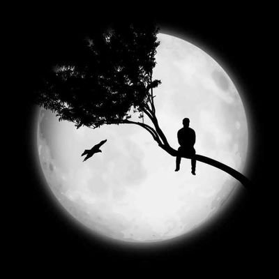 من واقعیم اینجاست، لا به لای همین حرف ها و نوشته ها...