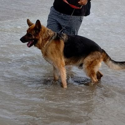 NoraNorama56's profile picture. Peronista! VOLVIMOS A RECUPERAR LA DEMOCRACIA blok insultos y Trolls 
Psico. Social