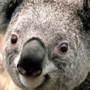 Rodrigo Soria - @RodrigoS92809 - Twitter