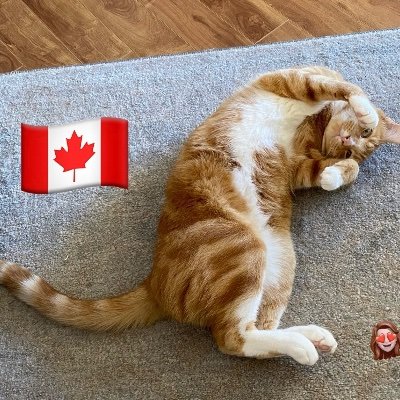 JanGran39695583's profile picture. 