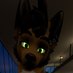 Renard The Fox AD 🔜FE (@renard_paws_ad) Twitter profile photo Renard The Fox AD 🔜FE (@renard_paws_ad) Twitter profile photo