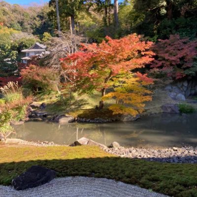 GjH89r6's profile picture. 