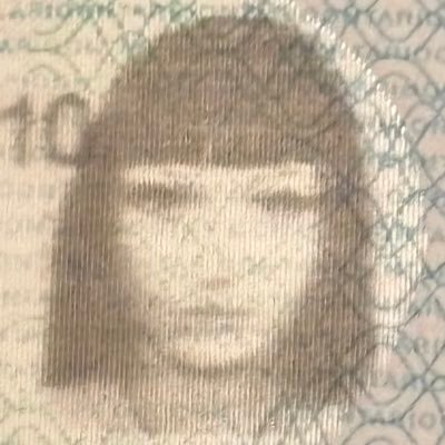 0x4n0's profile picture. they/them 19