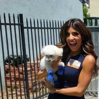 Danielle Lambert (@daniellelamb231) 's Twitter Profile