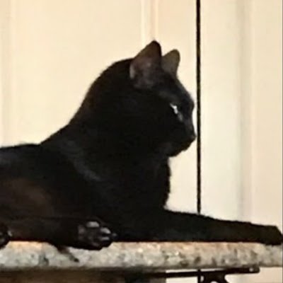 CaffoSusan62257's profile picture. 