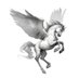 Pegasus Fantasy MG (@pegasusfantasyl) Twitter profile photo Pegasus Fantasy MG (@pegasusfantasyl) Twitter profile photo