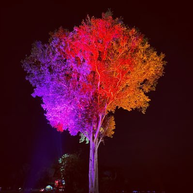 ALIALCHAZI's profile picture. 