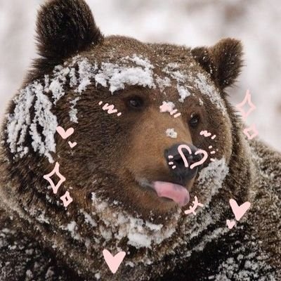 🏳️🌈{|He/Him|}🏳️⚧️
Official goatman
#selfshiptwt (Makarov and Yuri my beloved🛐❣️) #codtwt #octwt
I love my cats‼️🗣🐱💕 Artist occasionally-
Stay safe ♥︎