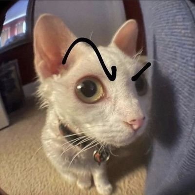 juanux_14's profile picture. buenas noches