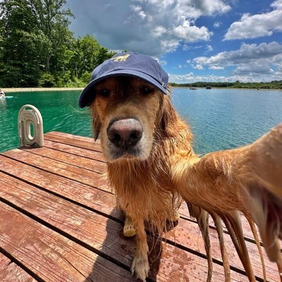 claudiosvj's profile picture. Trading