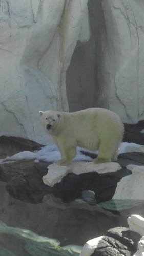 tmcc619's profile picture. Not sure, but mostly confident about it.