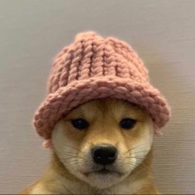 MacomVishal's profile picture. living in my own fantasy & forgetting reality